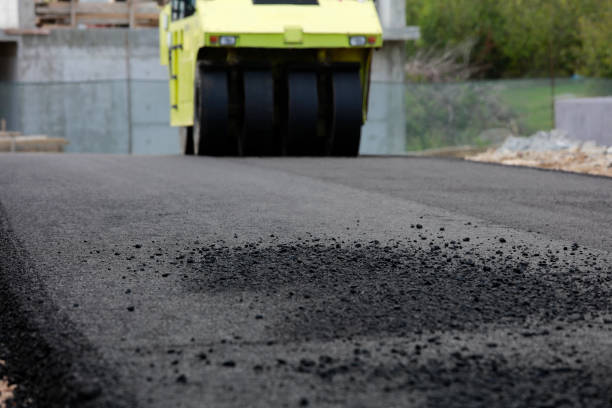Best Driveway Paver Repair  in Hazel Green, AL